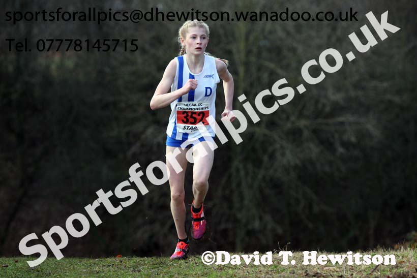 Girls under-15s North Eastern Cross Country, Aykley Heads, Durham. Photo: David T. Hewitson/Sports for All Pics